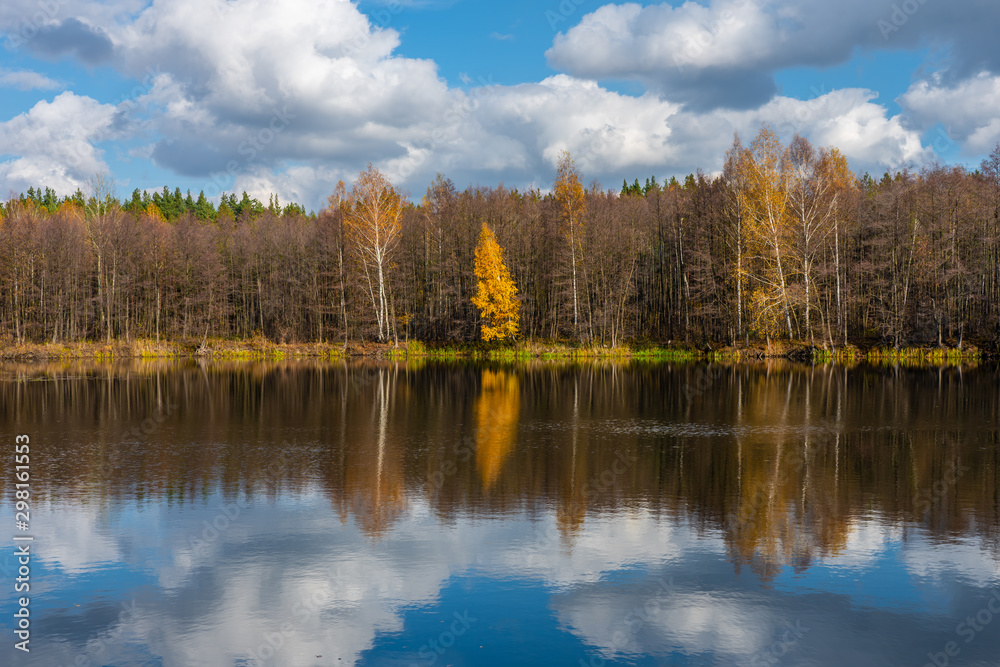 Fototapeta premium The autumn forest surrounds a beautiful forest lake on the surface of which the blue sky is reflected