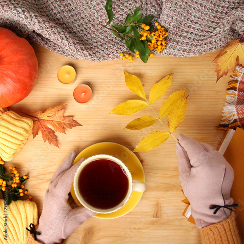 female hands holding a cup of hot tea or coffee, autumn flat in the Scandinavian hugg style, with yellow leaves, cozy knitwear, pumpkin and berries