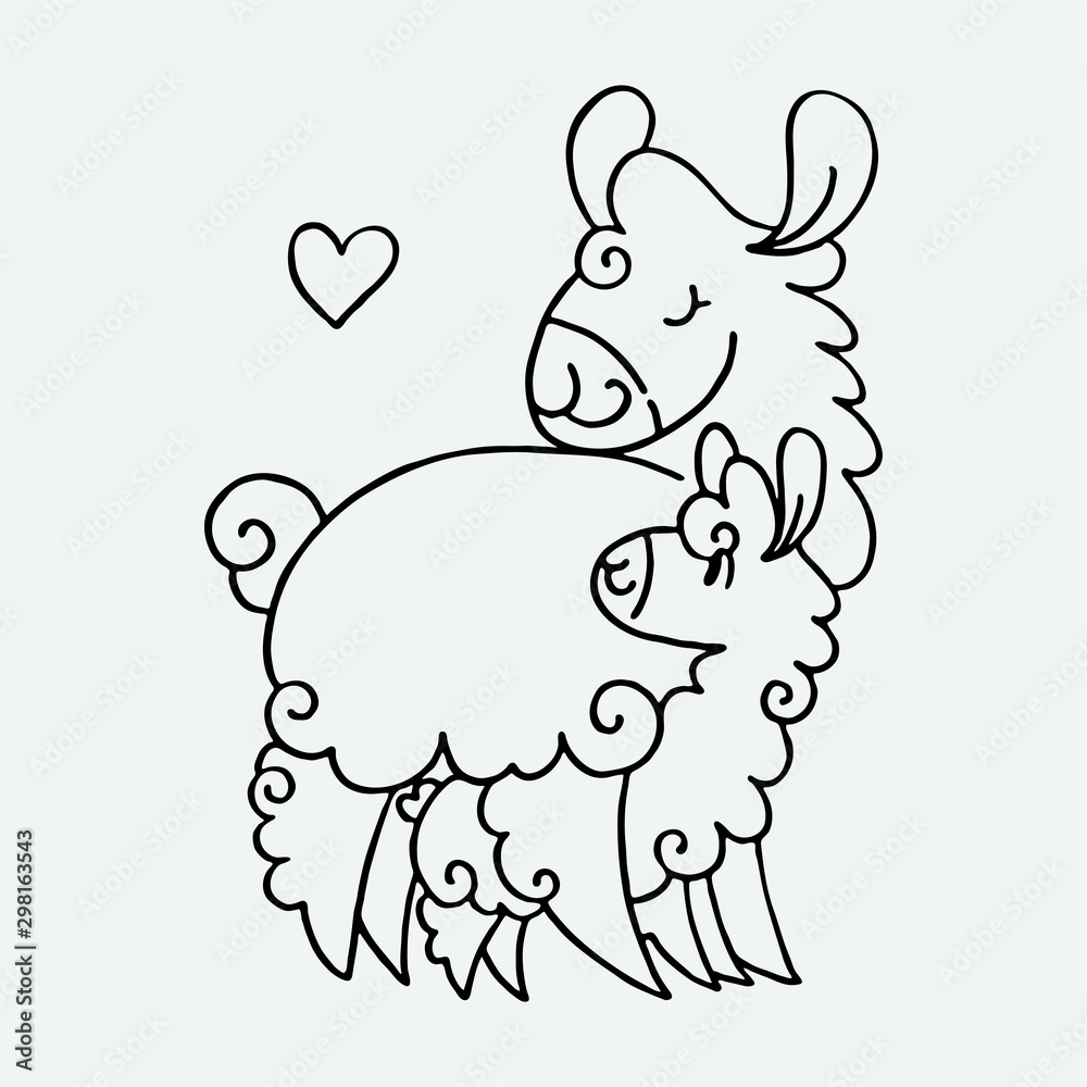Fototapeta premium Cute fluffy alpacas. Funny smiling cozy animals.