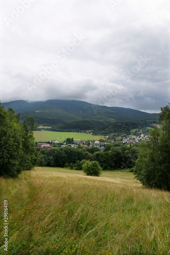 Summer Landscape in the Mountain Jesenik  Czech  Republic