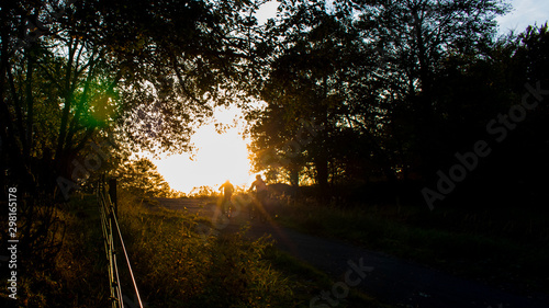 Moring fitness with the new bikes