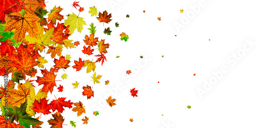 Autumn landscape. Season pattern isolated on white background. Thanksgiving concept