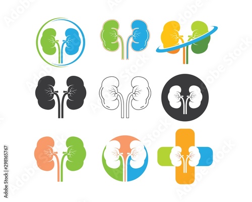 kidney icon vector illustration design