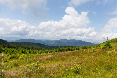 Summer Landscape in the Mountain Jesenik, Czech  Republic