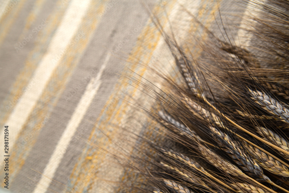 Spikelets of rye on a fabric textured rug