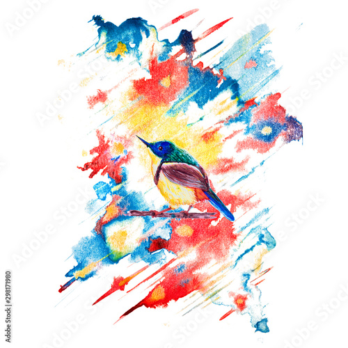Tropical bird, painted in watercolor. Hand-painted colorful elements. Watercolor hand painted art background for scrapbooking design. Watercolor spot