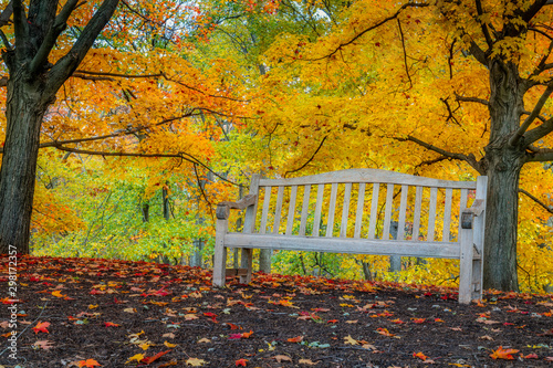 Autumn at the Chicago Botanic Garden