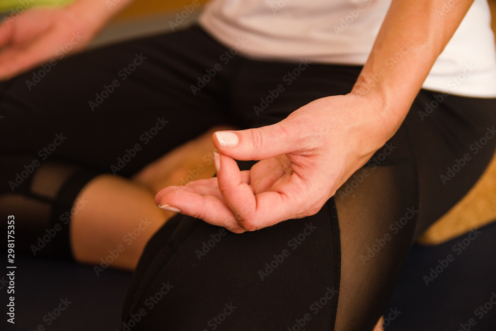 Yoga Mudra