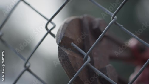 Close-up of bolt cutters snipping through a fence