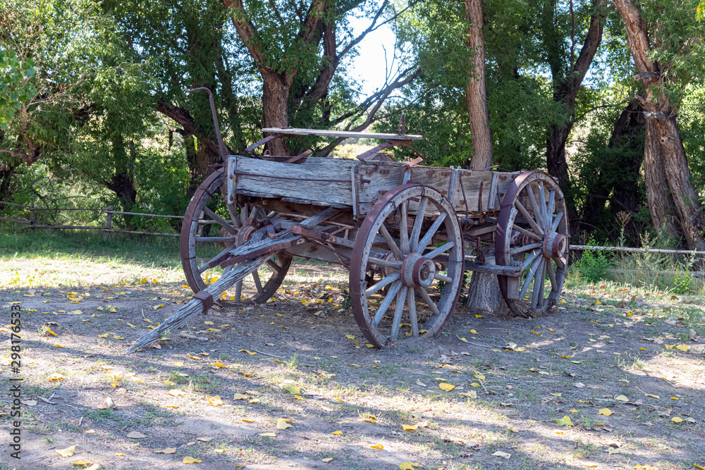 Fototapeta premium Old Wagon in a Field 