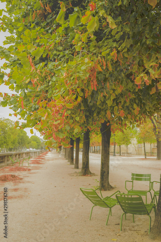 Fototapeta Naklejka Na Ścianę i Meble -  autumn in Tuileries Garden