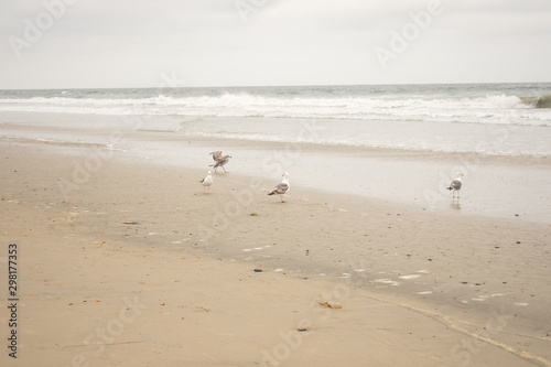 footprints on beach