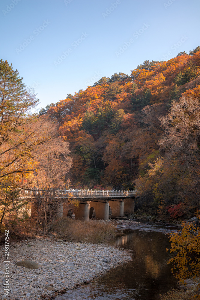 autumnal scenery of mountains stained with autumn foliage.