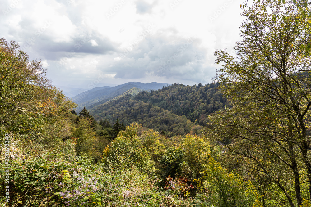 Naklejka premium Great Smoky Mountains National Park