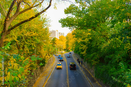 Photography road in park
