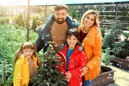 Family choosing Christmas t...