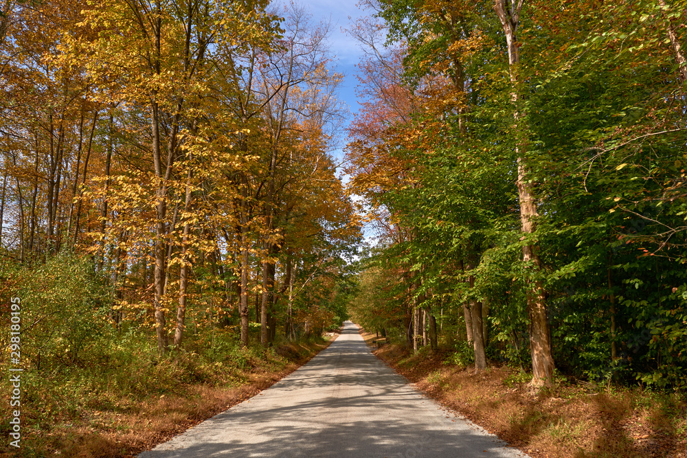 Colorful trees alongside the road in autumn from viewer's perspective Colorful trees alongside the road in autumn from viewer's perspective