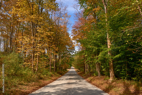 Colorful trees alongside the road in autumn from viewer's perspective