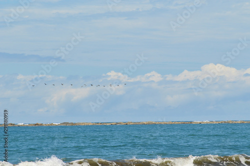 Aves volando en fila sobre el mar