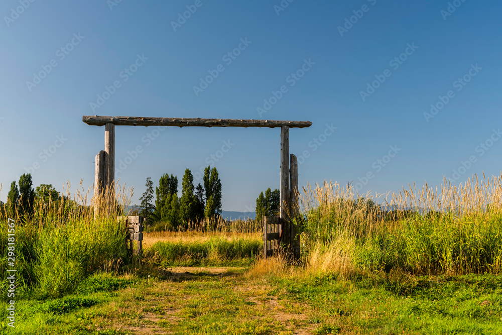 country road to an open wooden gate in a field with tall, green grass and blue sky