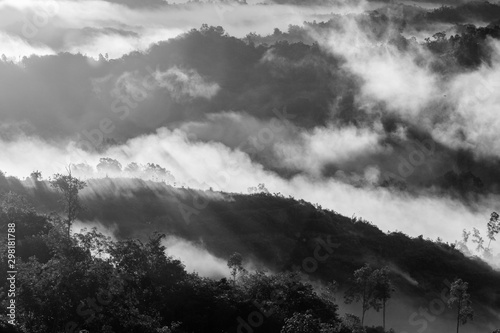 Amazing beautiful motion Mystic foggy forest during early morning at Sabah, Borneo 