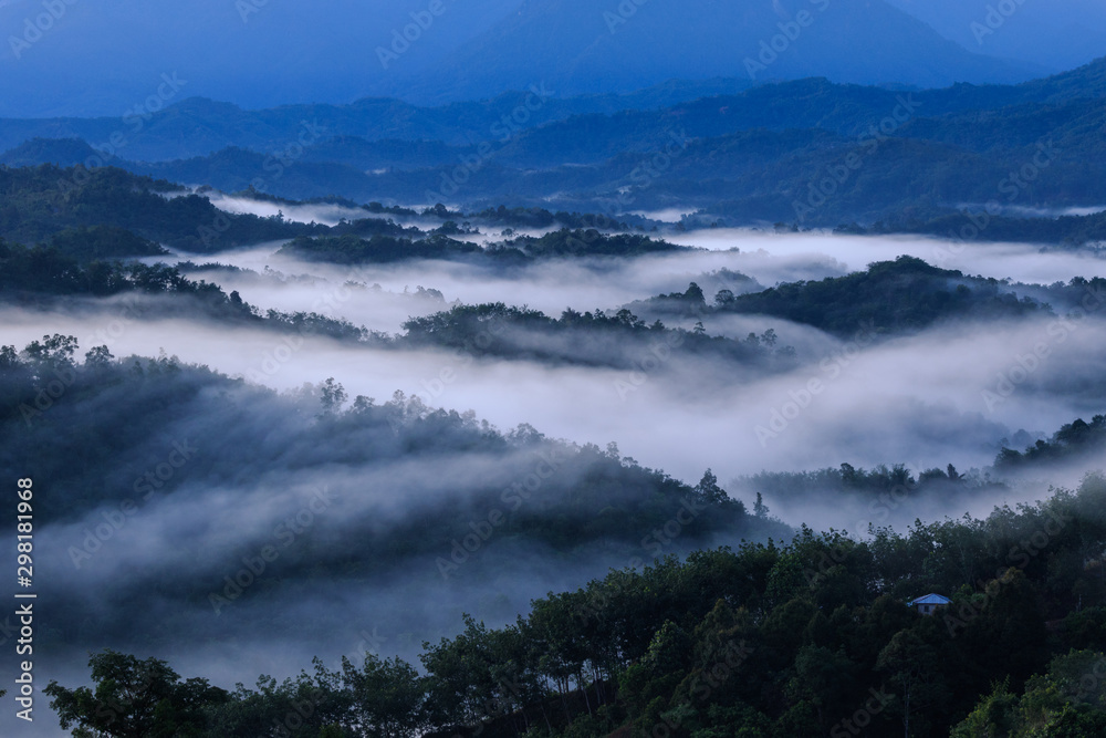 Obraz premium Amazing beautiful motion Mystic foggy forest during early morning at Sabah, Borneo 