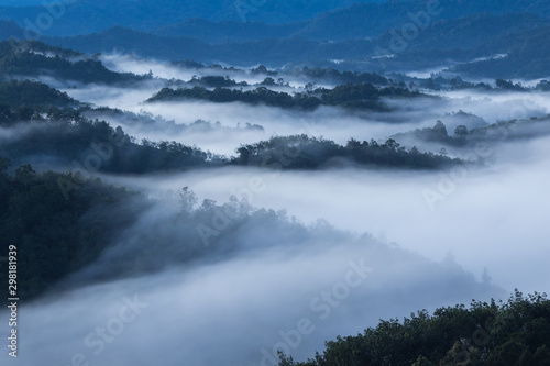 Amazing beautiful motion Mystic foggy forest during early morning at Sabah  Borneo 