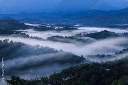 Amazing beautiful motion Mystic foggy forest during early morning at Sabah, Borneo 