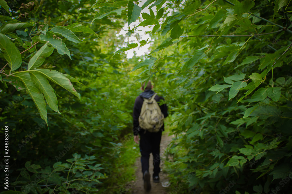 A man with a backpack is walking in the woods along the path. The view from the back.