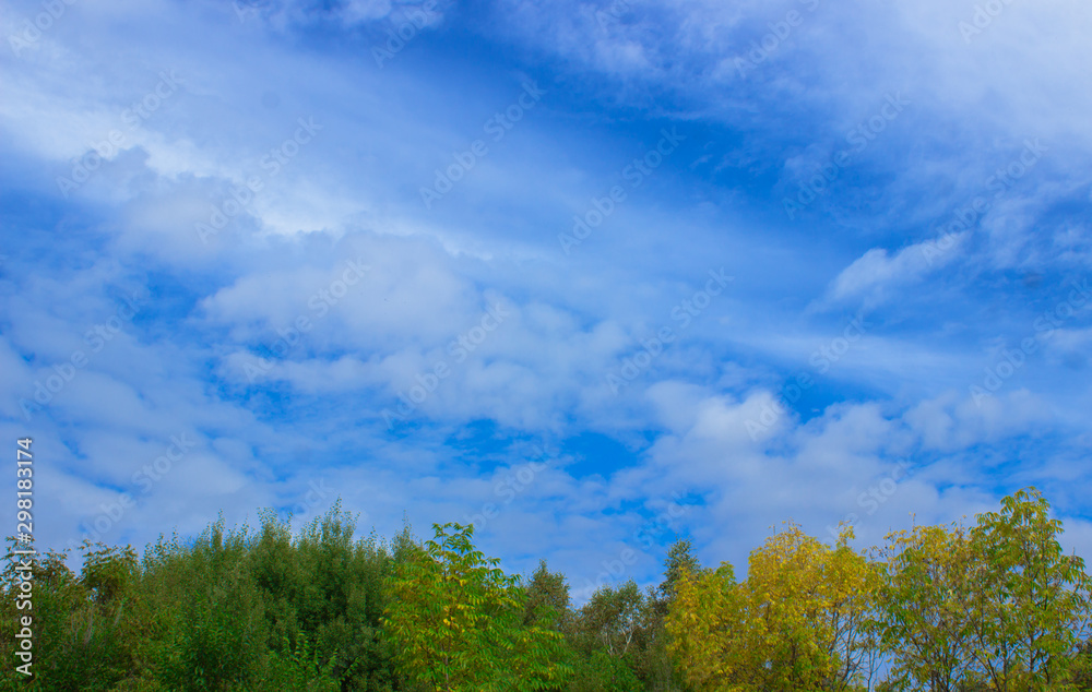 Blue cloudy sky with treetops of yellow trees. Autumn background with blank space for text Blue cloudy sky with treetops of yellow trees. Autumn background with blank space for text