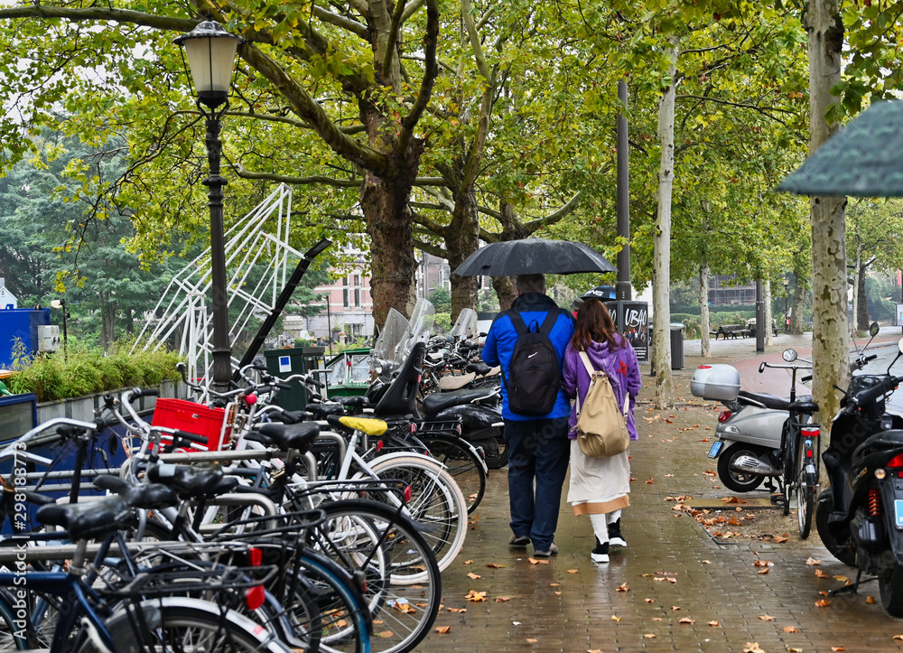 Back View of Backpackers Walking in Rain by Bicycles under Umbrella and Autumn Trees in Amsterdam Netherlands