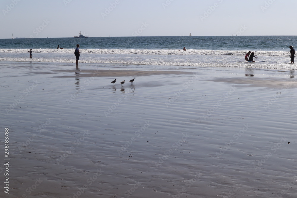 people figure on a quiet beach landscape 