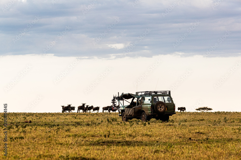 Fototapeta premium Film Production Vehicle Photographing Wildlife in Africa