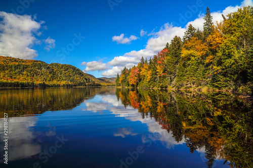 Panorama of a gorgeous forest in autumn, a scenic landscape with pleasant warm sunshine.