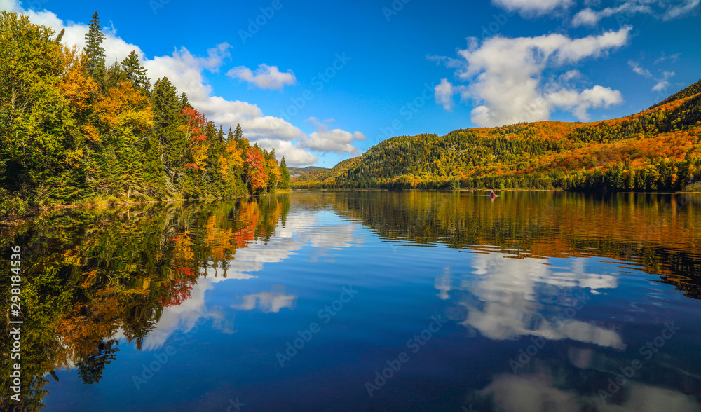 Panorama of a gorgeous forest in autumn, a scenic landscape with pleasant warm sunshine.