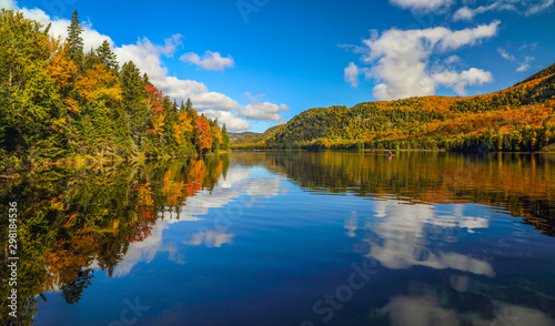 Panorama of a gorgeous forest in autumn  a scenic landscape with pleasant warm sunshine.
