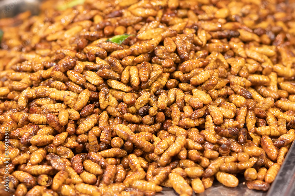 Soft Fried or pupae, silkworms. Fried Insect, pupae the food very famous, street food in Thailand Soft Fried or pupae, silkworms. Fried Insect, pupae the food very famous, street food in Thailand