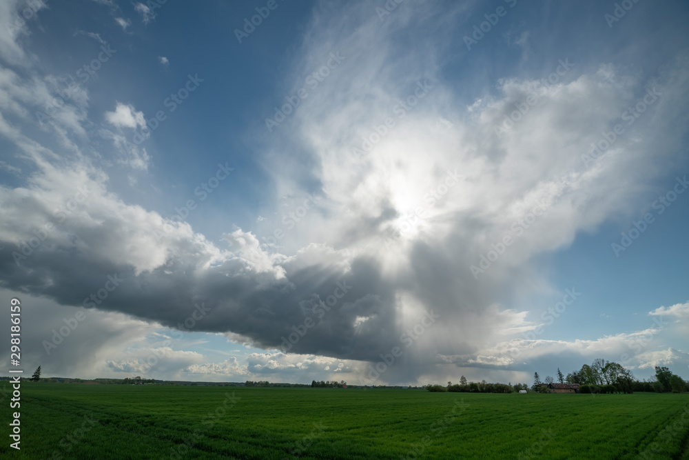 green vegetation and fields in spring green vegetation and fields in spring
