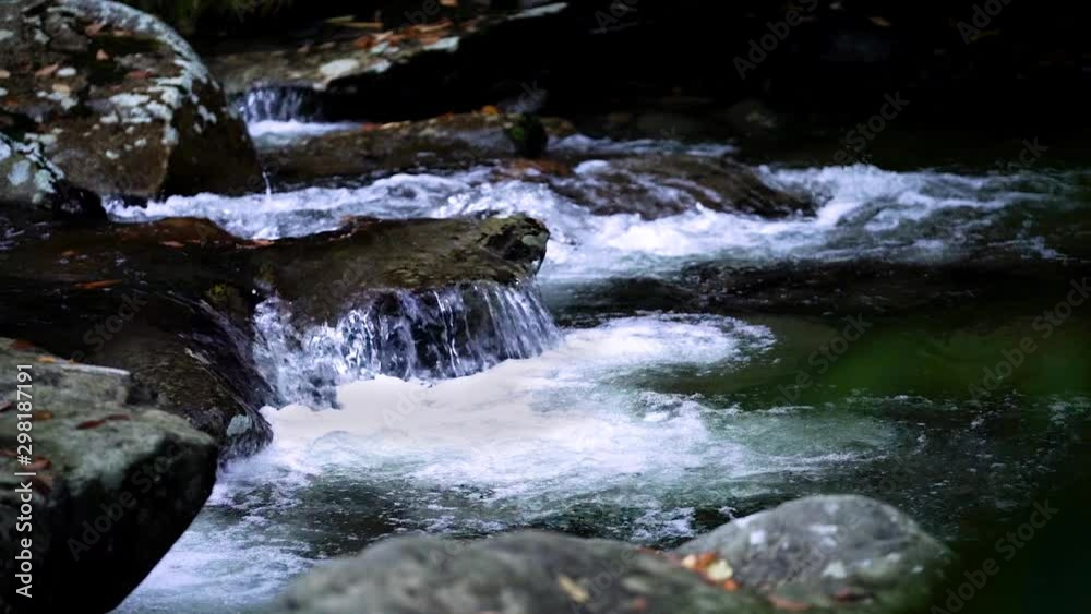 Slow motion of leaves falling in cold fresh water in natural waterfall located in dark moody forest around boulders and rocks with shallow depth of field Slow motion of leaves falling in cold fresh water in natural waterfall located in dark moody forest around boulders and rocks with shallow depth of field