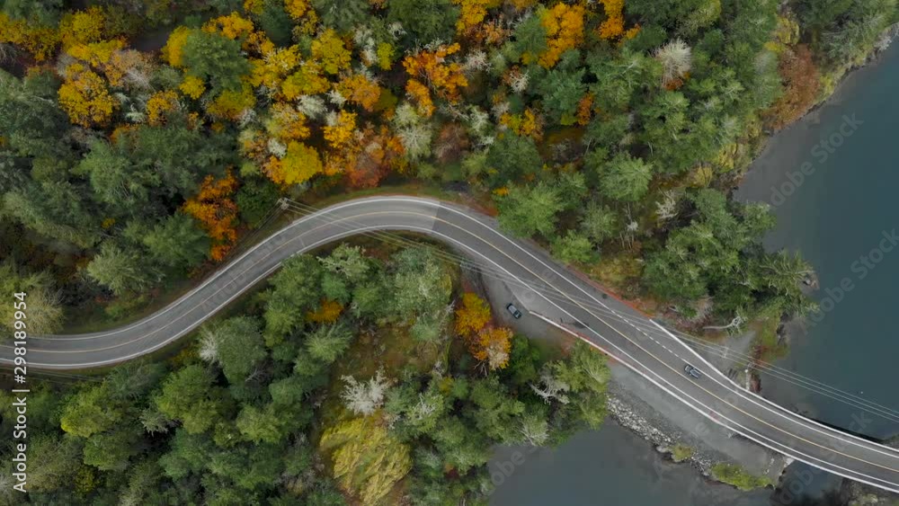 Aerial footage of a coastal highway road winding through a evergreen forest with autumn trees. - 4K 24FPS