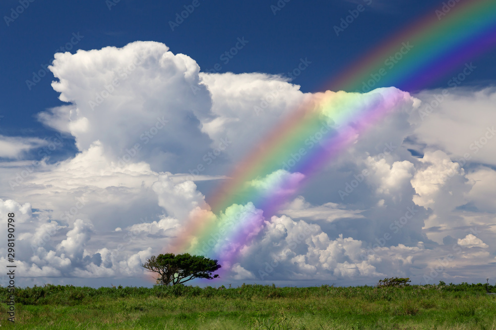 雨上がりの虹 沖縄の風景 Stock Photo Adobe Stock