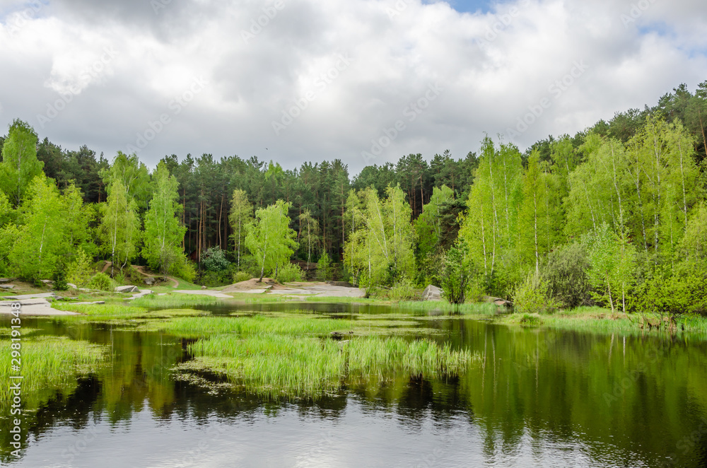 Lake with forest.In summer, the pond is surrounded by birches and pines. Lake with forest.In summer, the pond is surrounded by birches and pines.