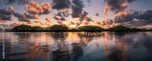 Sunrise over the mangroves at Kelly's Beach in the Bundaberg suburb of Bargara