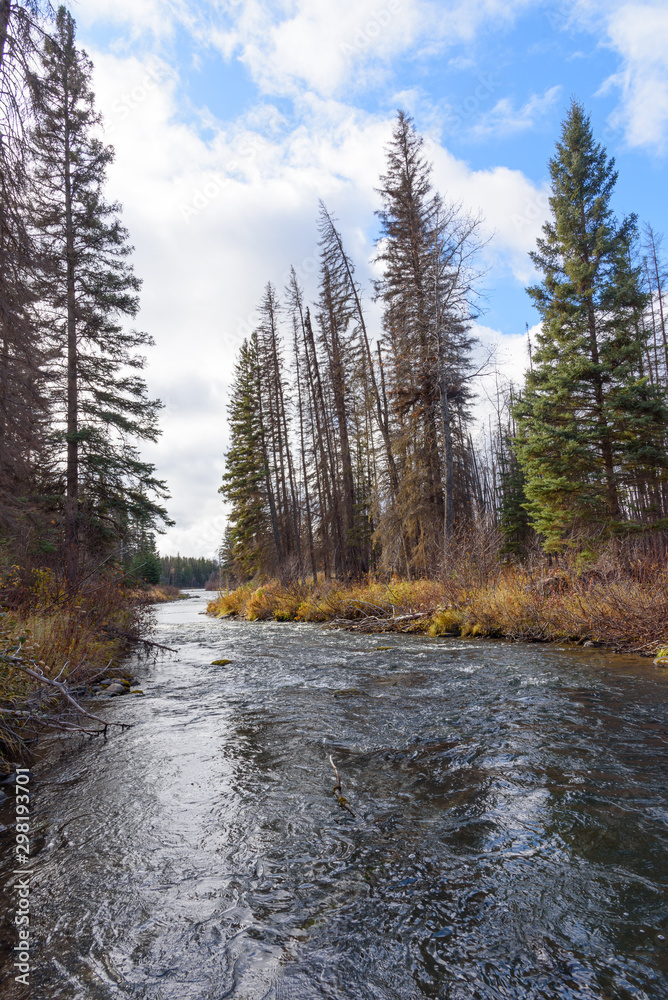 autumn on winding stewart creek 5 autumn on winding stewart creek 5