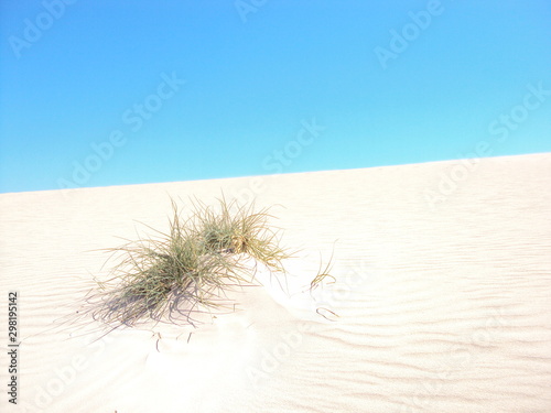 Fototapeta Naklejka Na Ścianę i Meble -  Jurabi Point Coastal Reserve Sand Dunes