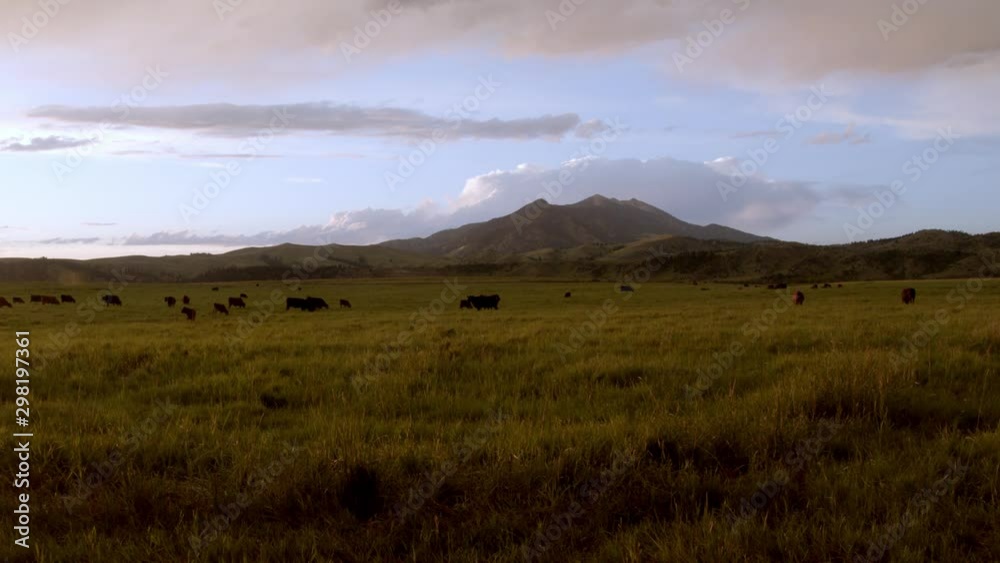 Walking in Rural Montana, United States Walking in Rural Montana, United States