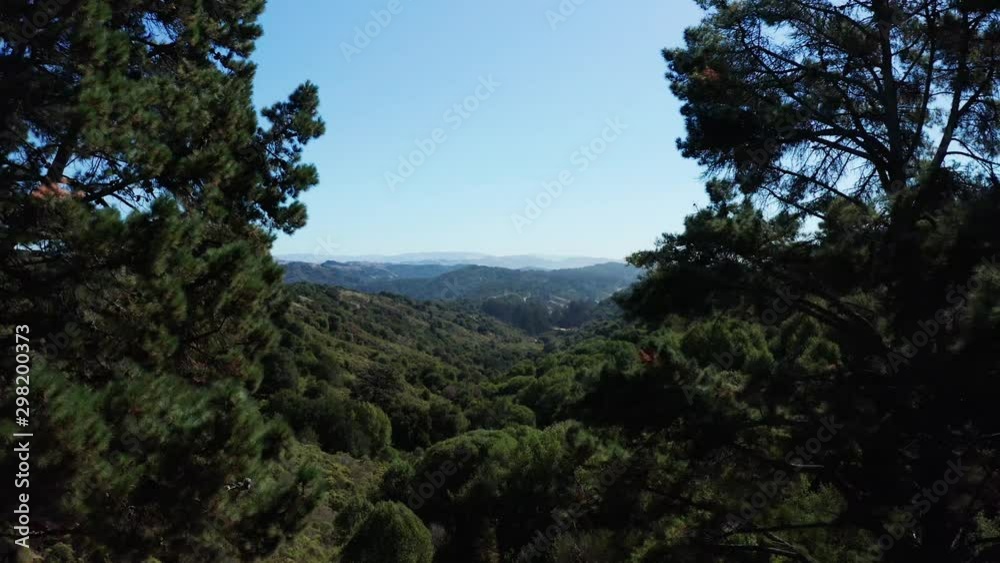 A steady push forward through the trees to reveal the valley. A steady push forward through the trees to reveal the valley.