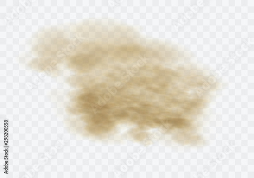 Desert sandstorm, brown dusty cloud or dry sand flying with gust of wind, big explosion realistic texture vector illustration isolated on transparent background