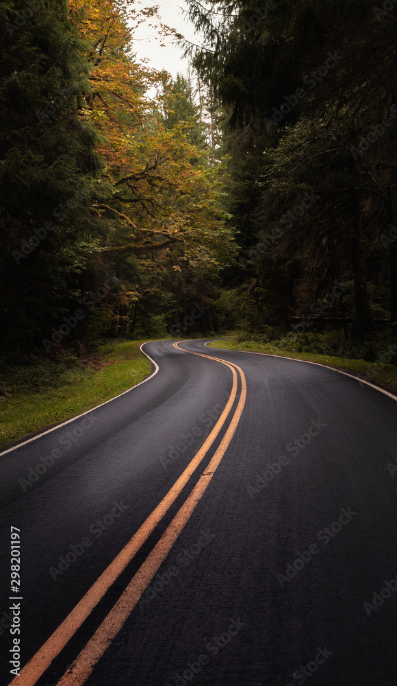 Fototapeta premium A road winding through the autumn forest