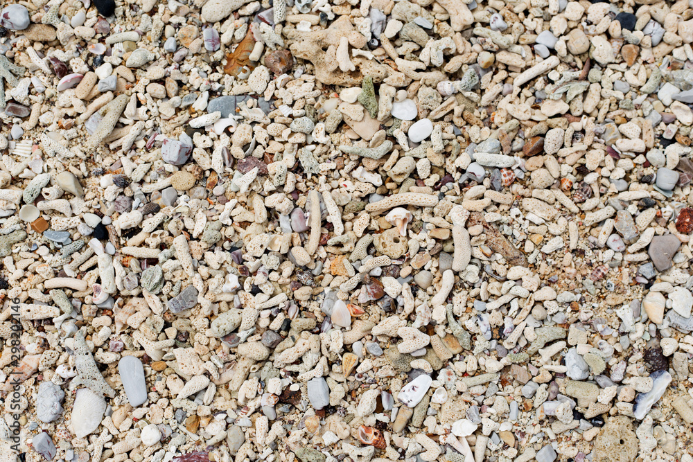 Seashells and sand background. Colorful shells. Beach texture. Seashells and sand background. Colorful shells. Beach texture.